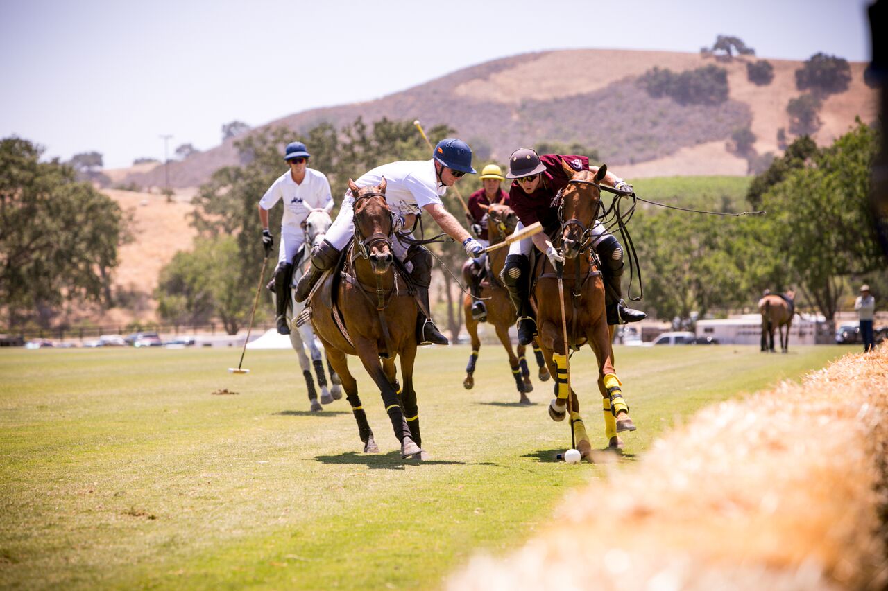 PHP’s POLO Classic breaks attendance records