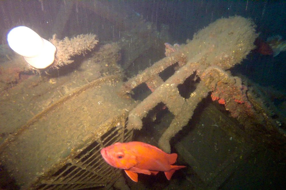 Research Reveals Historic Shipwreck Off Point Conception