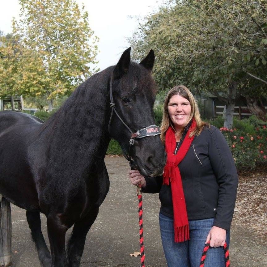 Local horse trainer competing for national honor