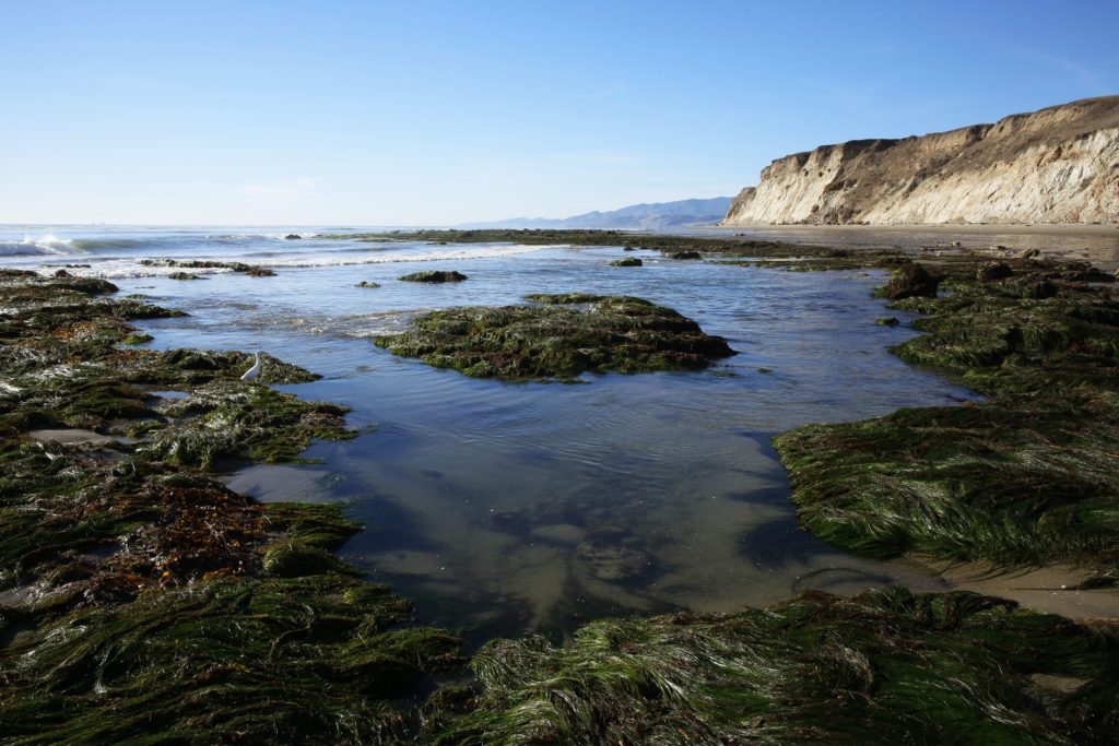 Gaviota film screening at the Wildling Jan. 27 Santa Ynez Valley Star