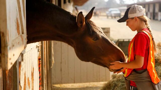 Horses need special care after Thomas Fire’s smoke