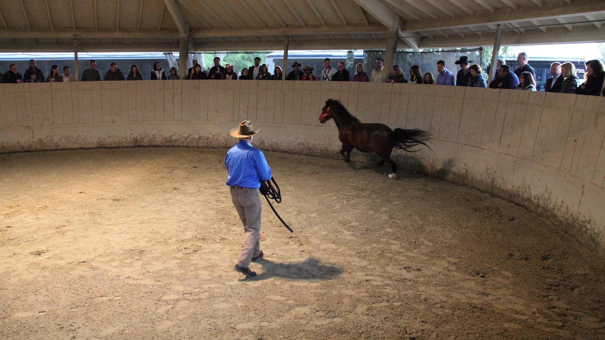 People invited to learn from horses at event in May