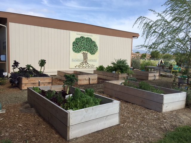 Oak Valley School Garden to host Farmer’s Market