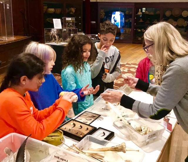 ‘Nature Exchange’ encourages curiosity, learning