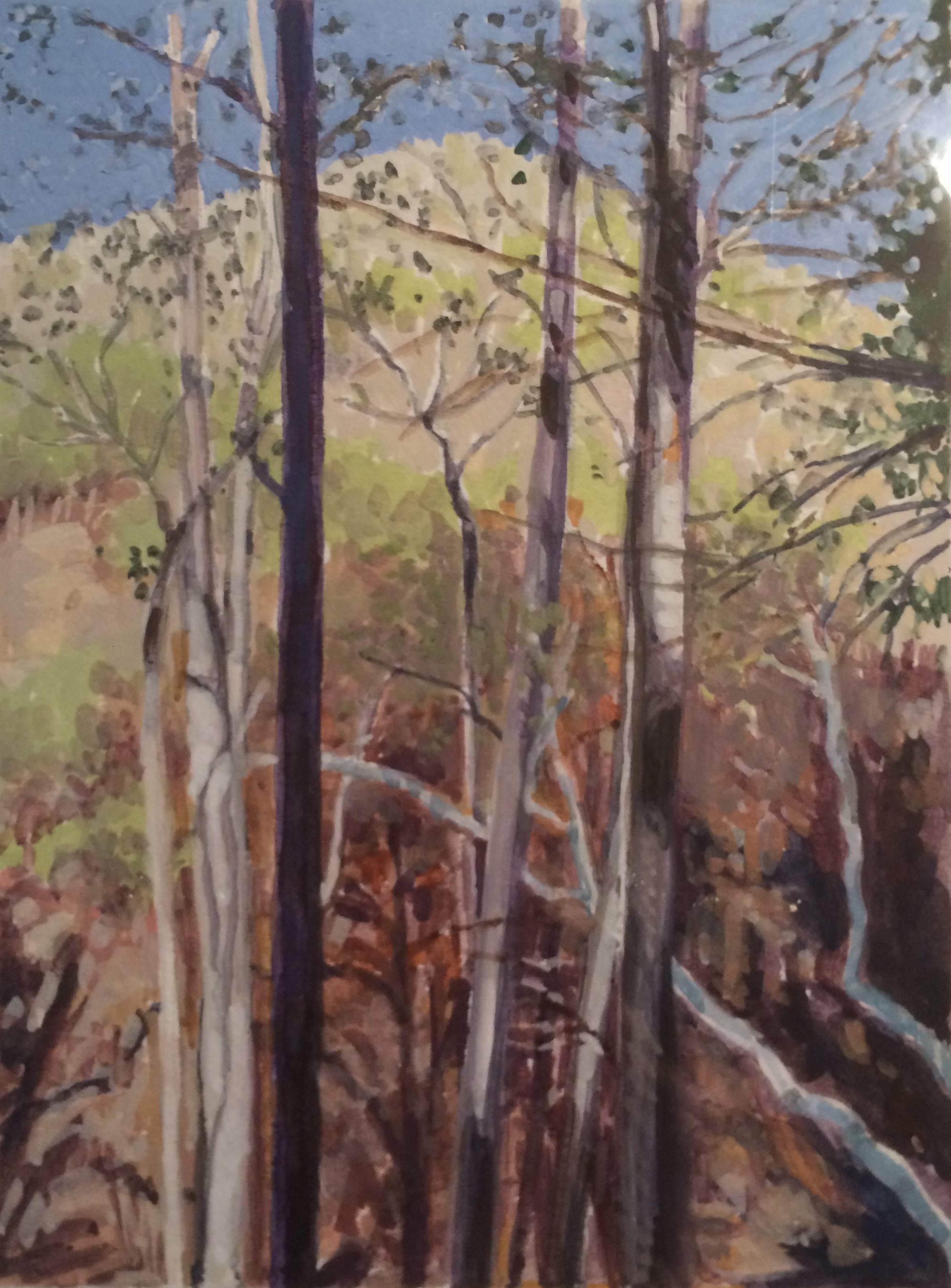 Wildling to host gouache painting workshop