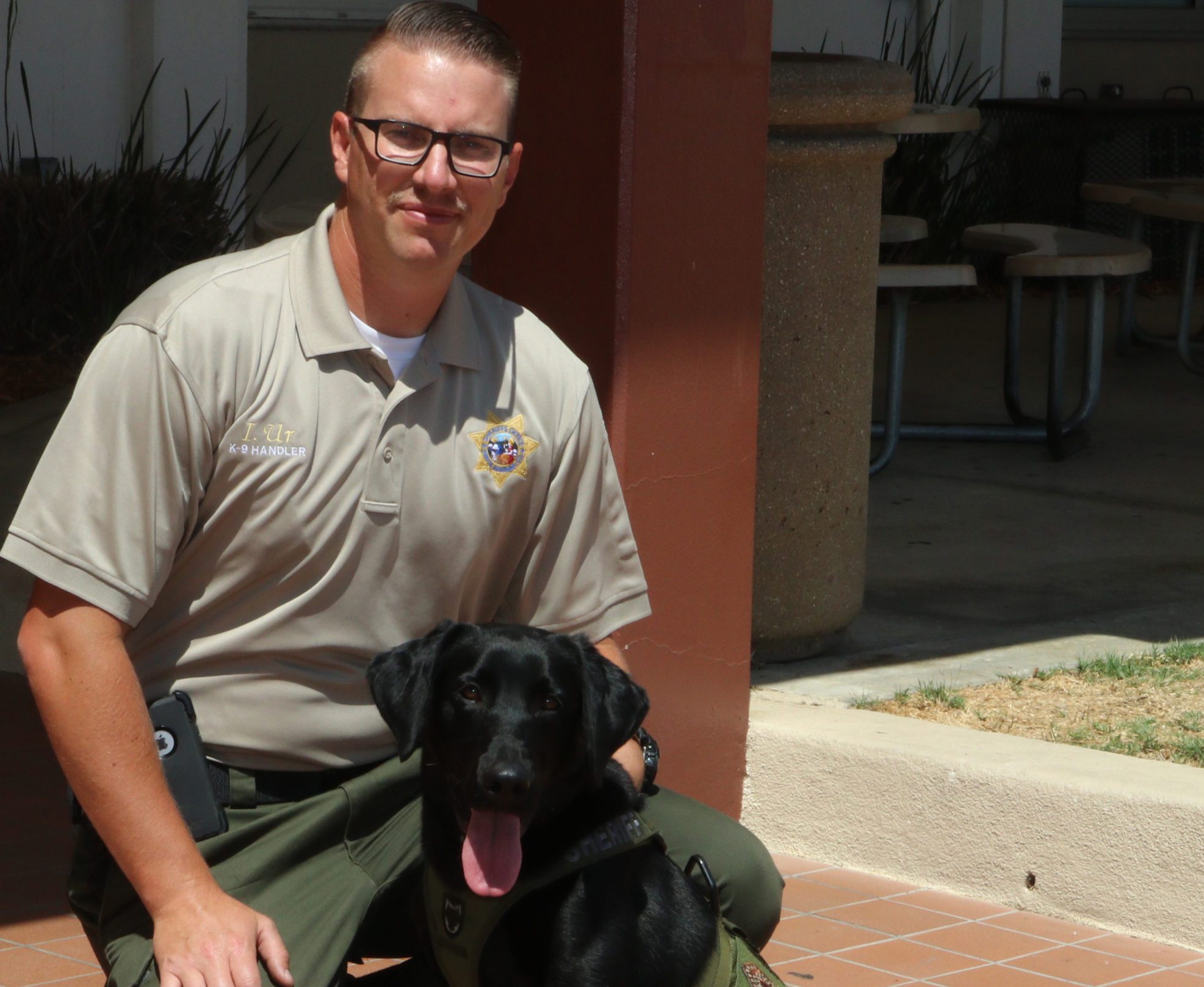 New K-9 team to search jail for drugs