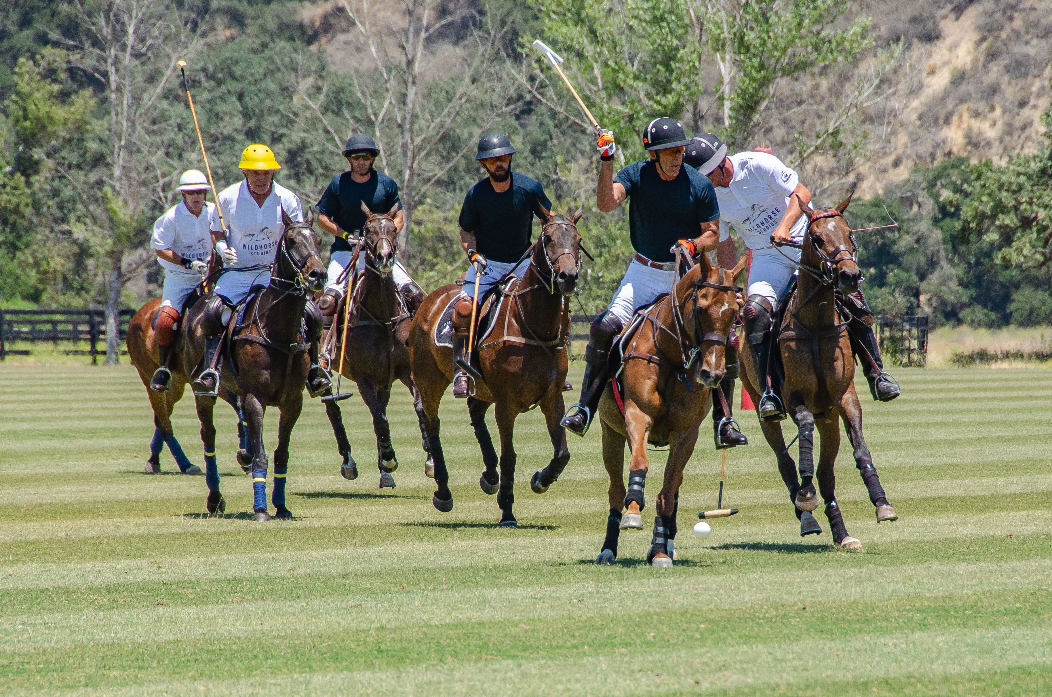 Figueras’ star burns brightly at annual Polo Classic