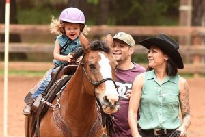 happy endings horse sanctuary