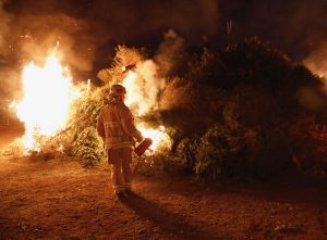 Solvang Christmas Tree Burn