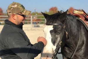war horses veterans