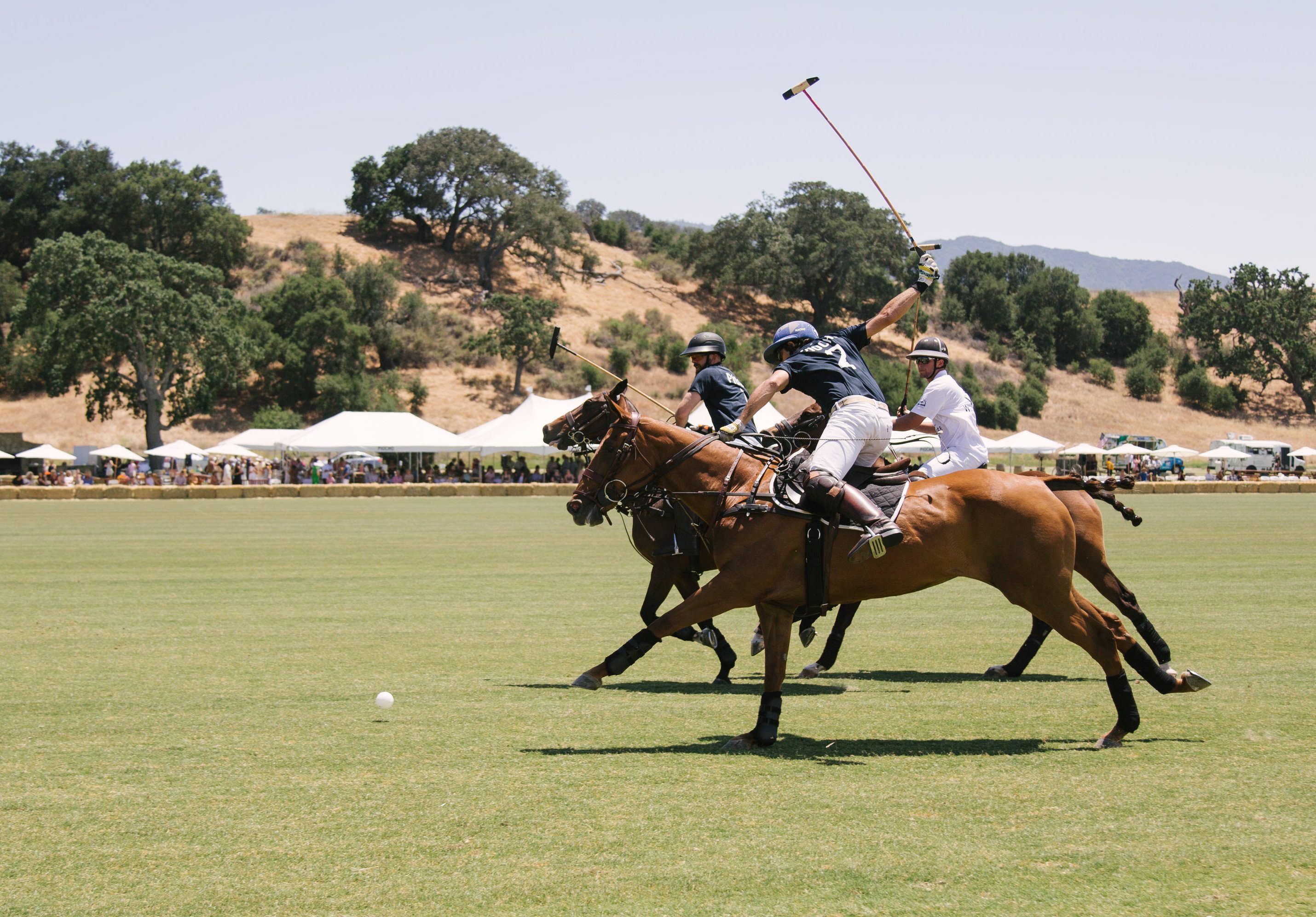 Polo Classic benefit returning to the valley June 29