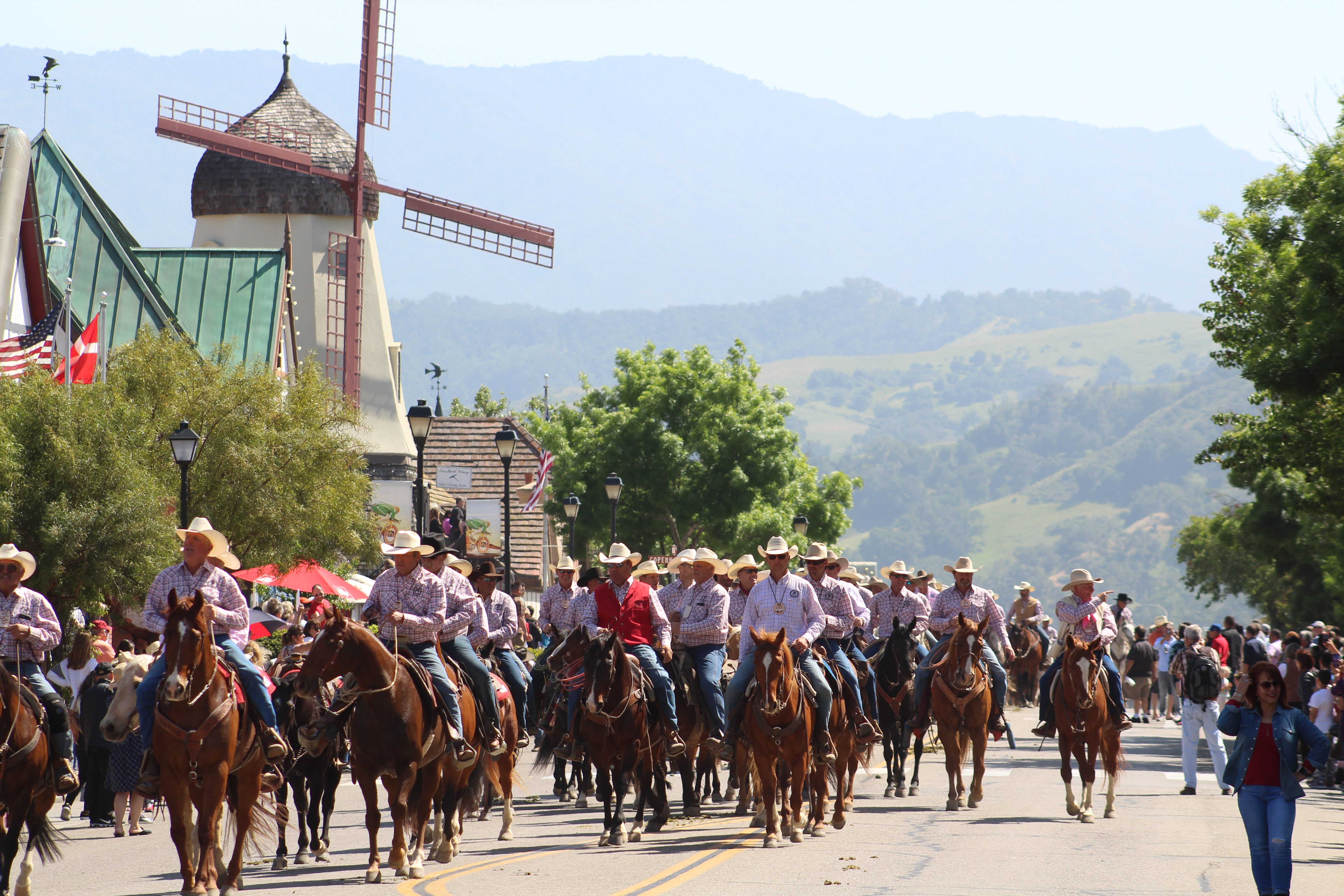 Cowboys in pink shirts ride through Solvang in support of breast cancer research