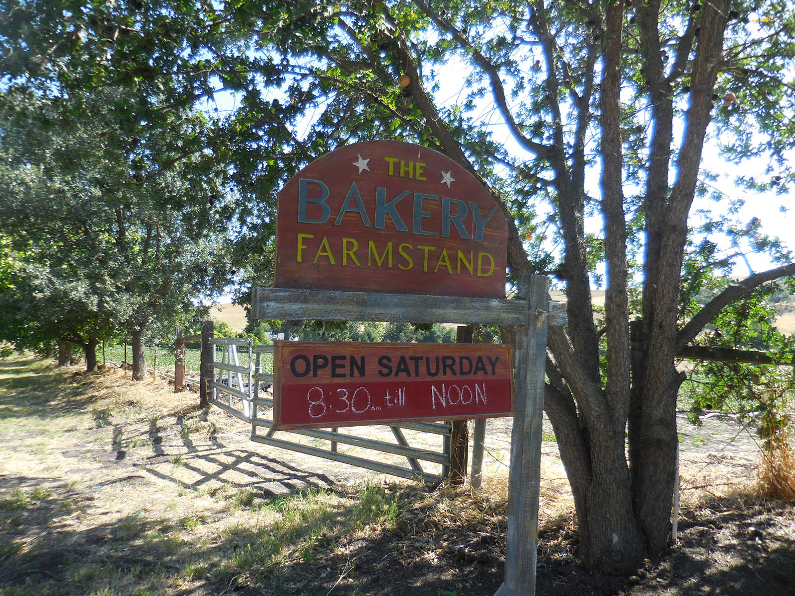 The Bakery Farmstand offers sweet treats