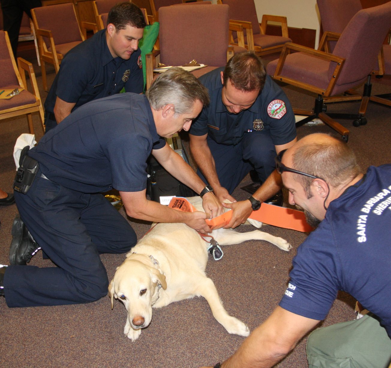 Firefighters get lessons in emergency care for pets