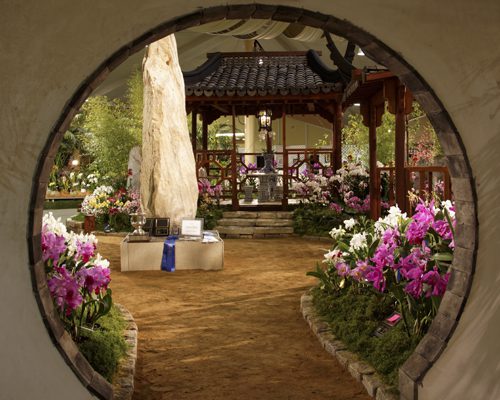 Rare blooms on display at Santa Barbara Orchid Show
