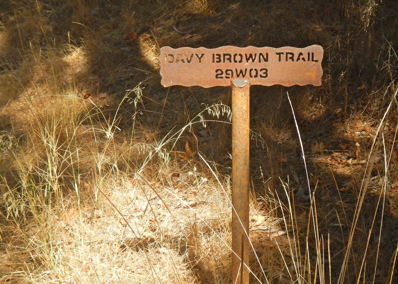 Dawdling along Davy Brown Creek and other backcountry pleasures