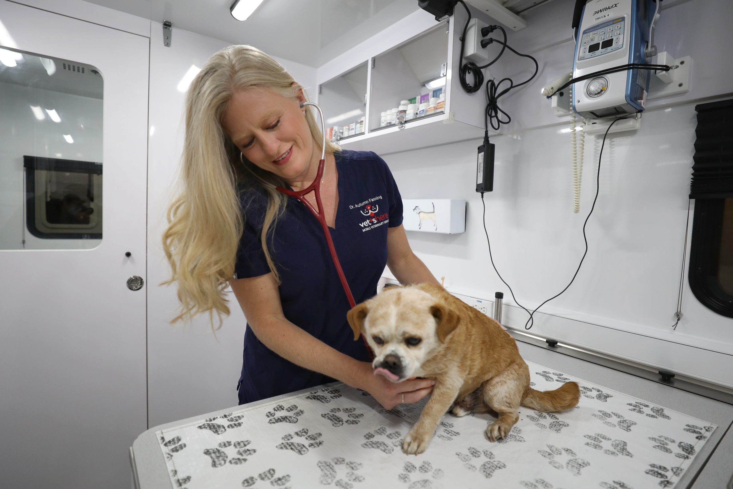 Vet’s Here celebrating a decade of helping animals