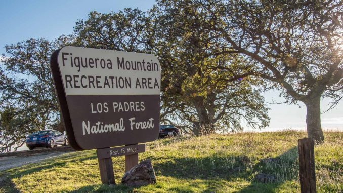Los Padres National Forest announces new interim forest supervisor