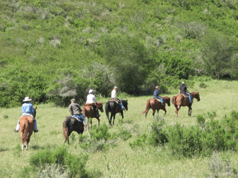 SYV Riders back in the saddle with group trail rides