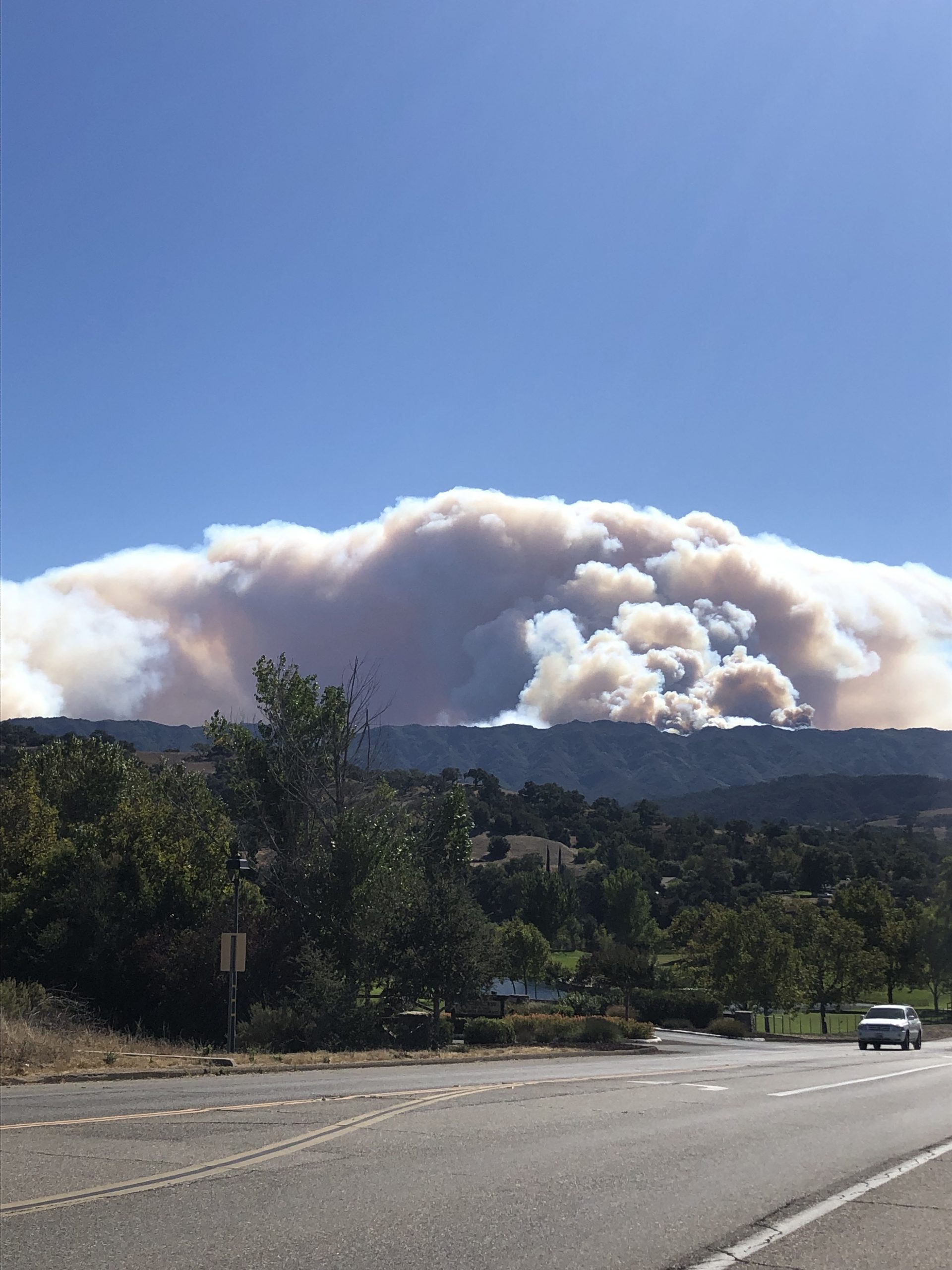 Alisal Fire crests 8,000 acres and growing due to dense underbrush