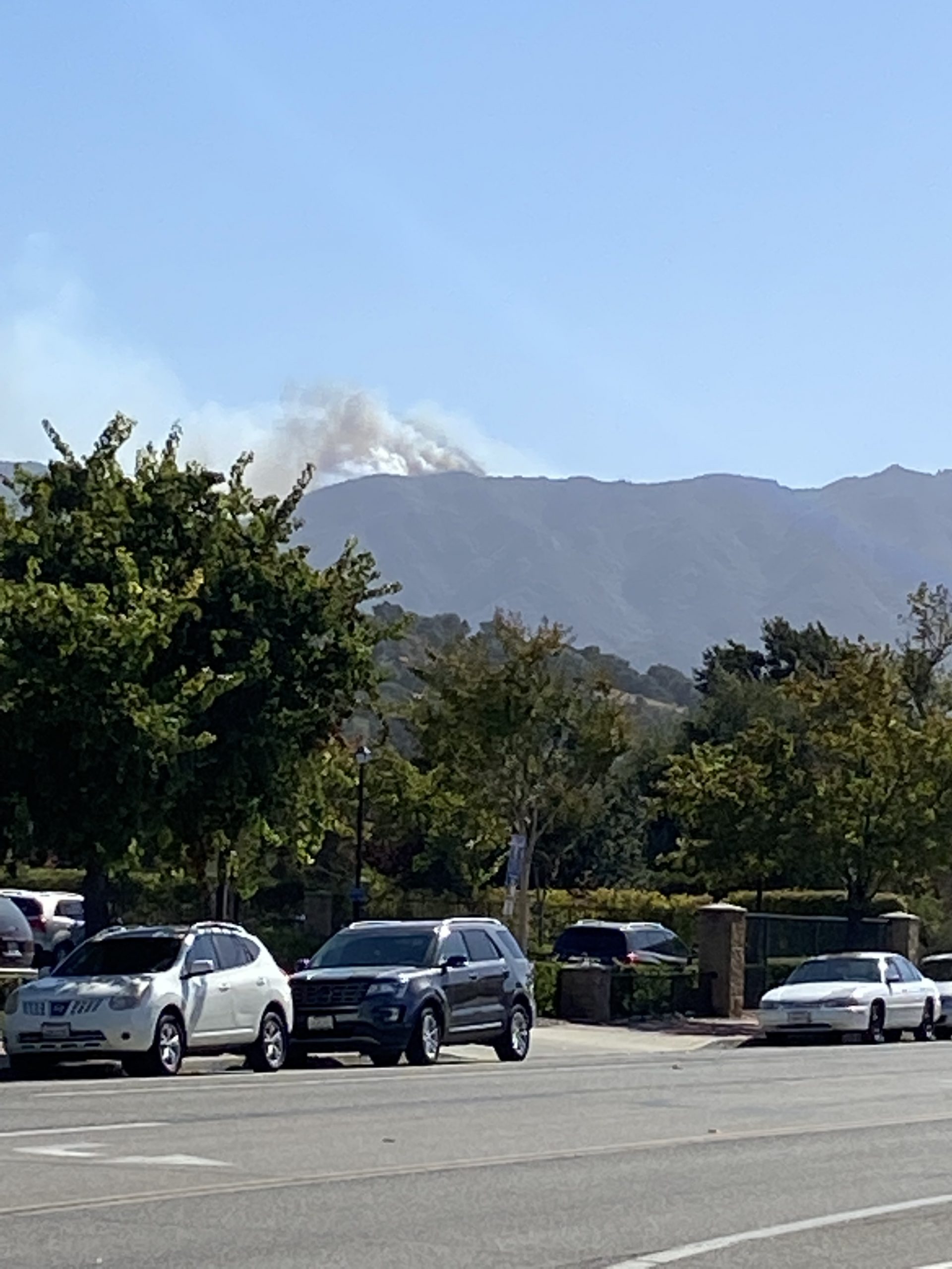 Vegetation fire reported in Santa Ynez Mountains