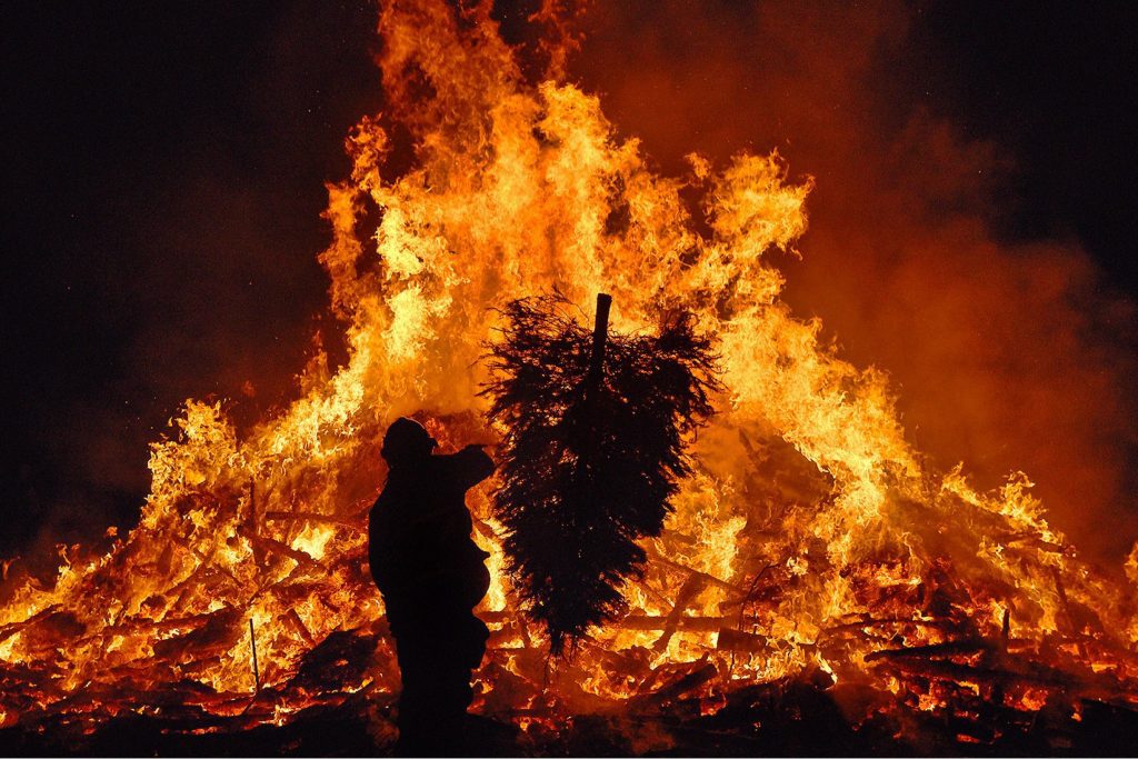 Solvang’s Christmas Tree Burn Fires Up After Year Off Santa Ynez