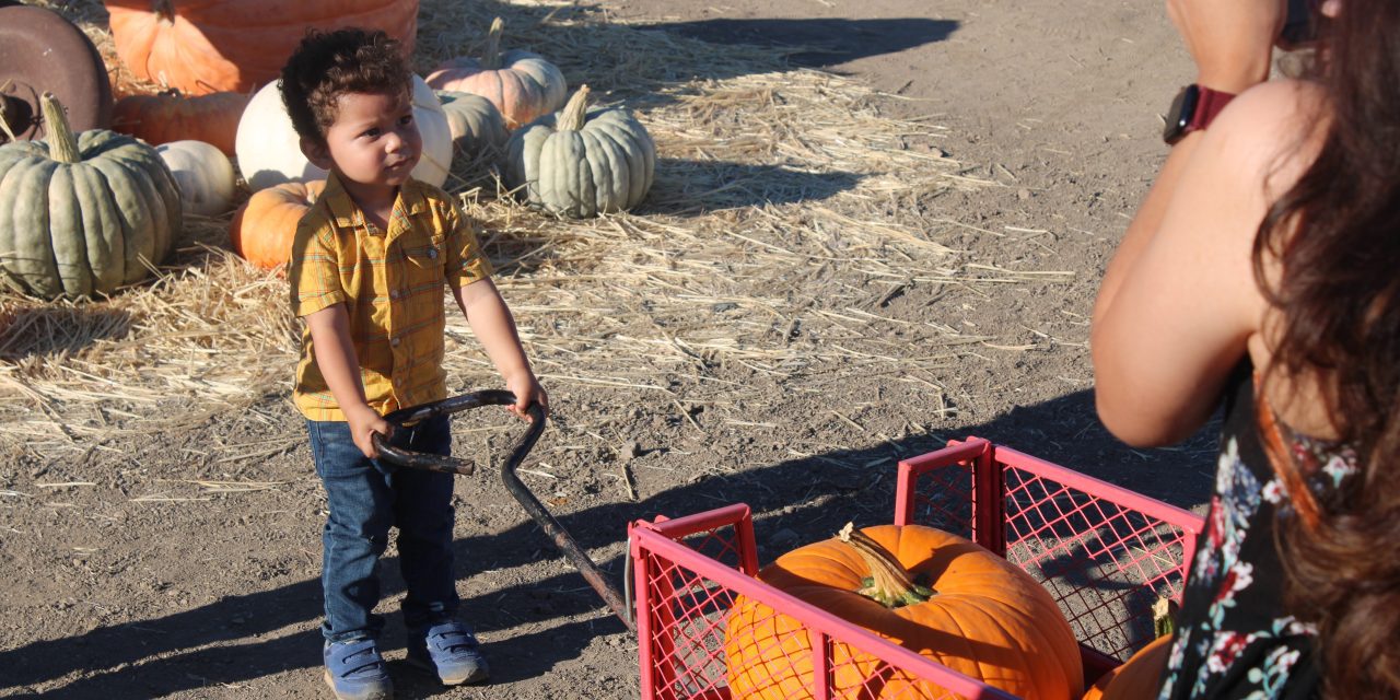 Valley gets ready for season of pumpkins and scares