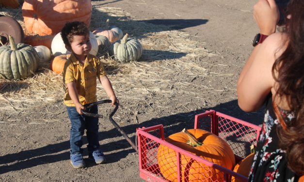 Valley gets ready for season of pumpkins and scares