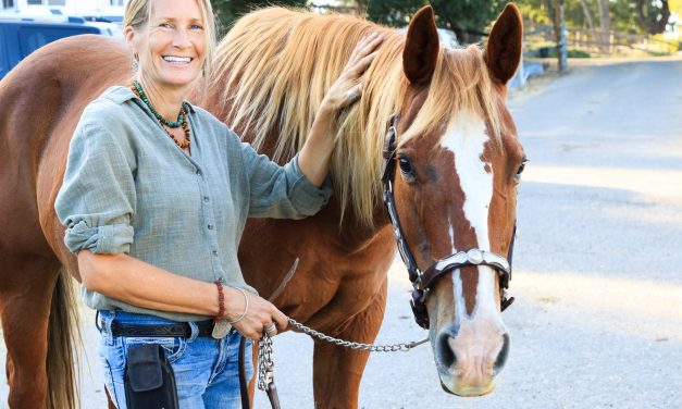 Valley healer: Communication is everything when dealing with animals