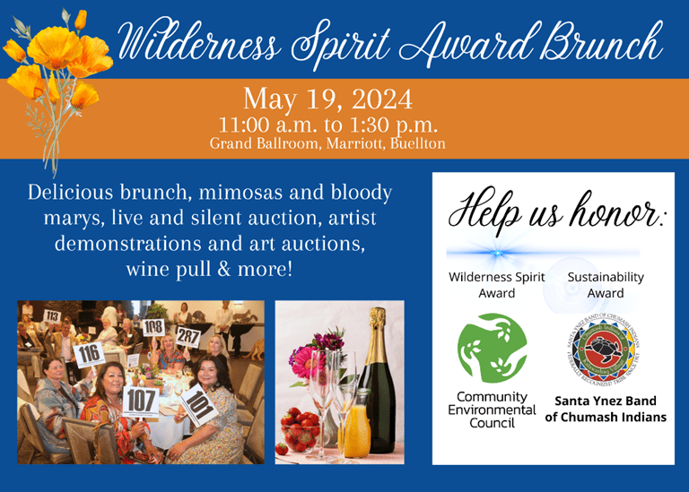 California Nature Art Museum announces the 2024 Wilderness Spirit Awards honorees