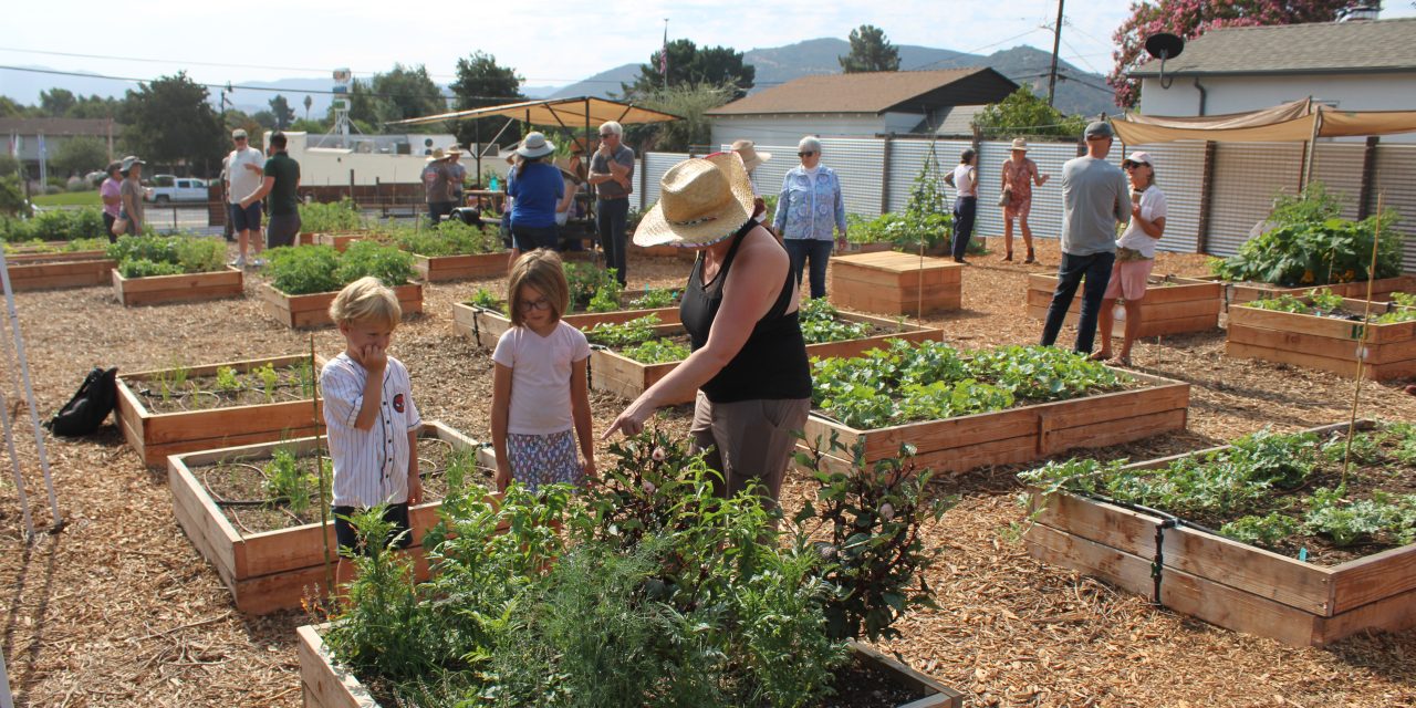 Fomerly vacant corner lot becomes Buellton’s ‘green spot’