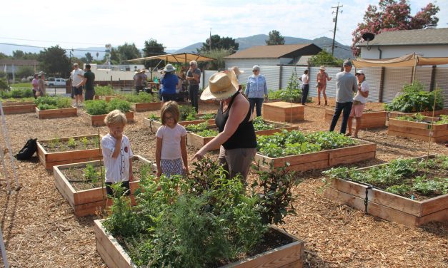 Fomerly vacant corner lot becomes Buellton’s ‘green spot’