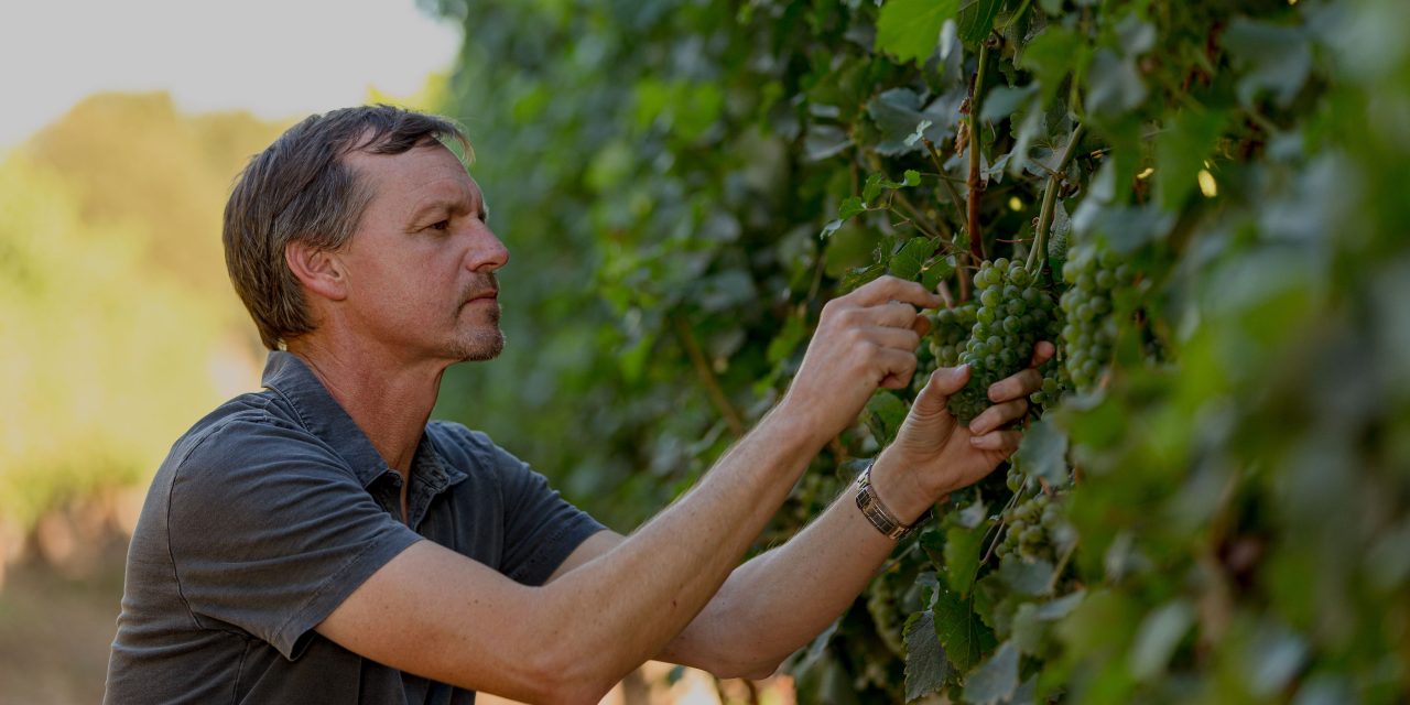 Winemaker Andrew Murray acquires historic Syrah producer Qupe