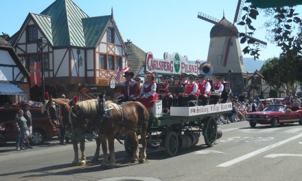 Danish Days was awash with Danish flags and Viking helmets