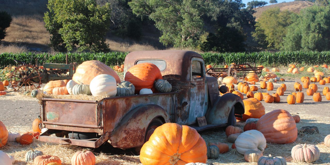 Valley has frightful and fun happening into Halloween and beyond