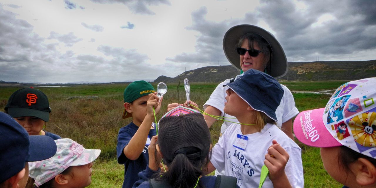 NatureTrack’s Nancy Stearns Scholarship applications open now