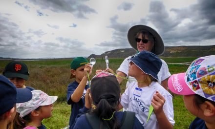 NatureTrack’s Nancy Stearns Scholarship applications open now