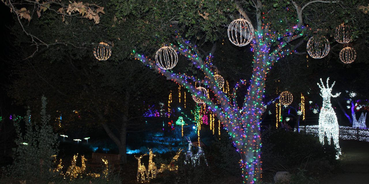 Buellton enjoys a bigger, better Winter Fest