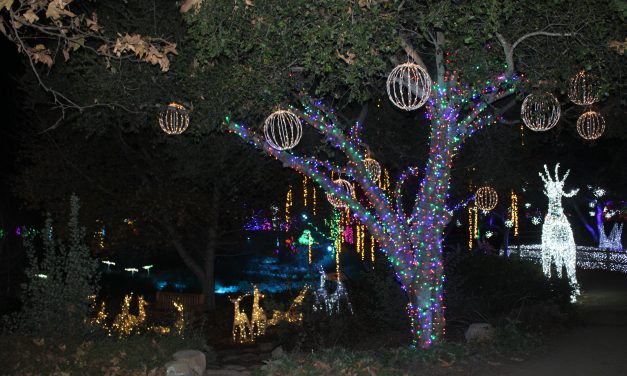 Buellton enjoys a bigger, better Winter Fest