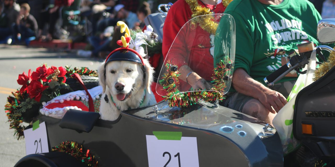 Julefest participants put on a show for parade watchers