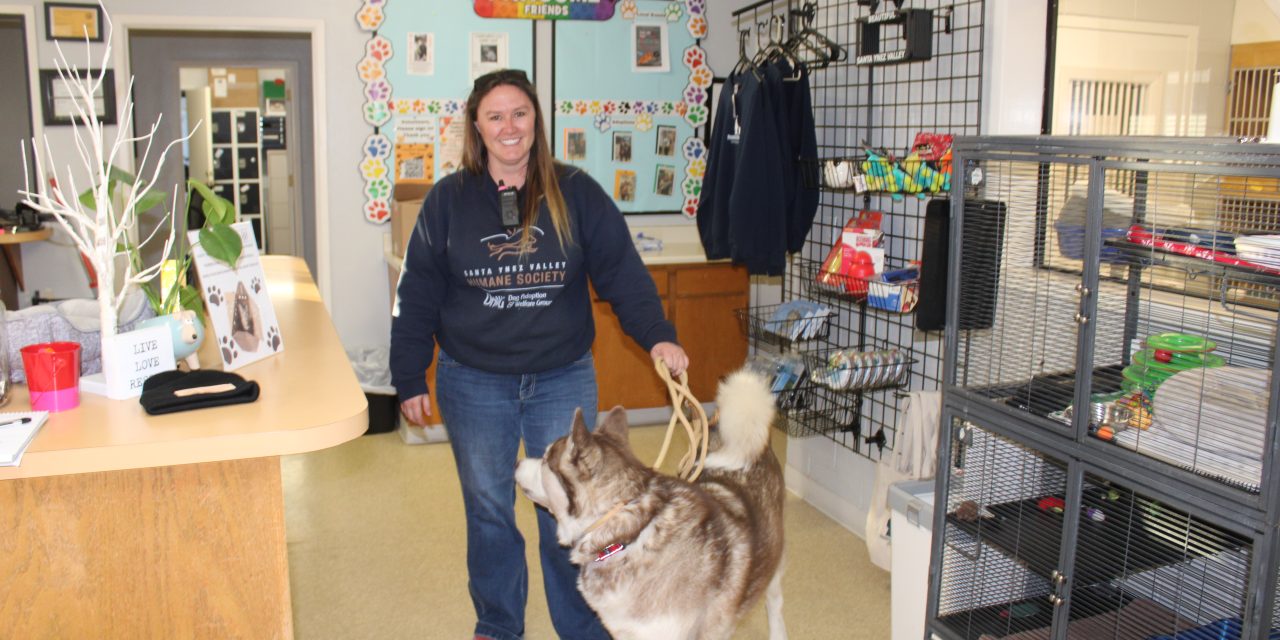 SYV Humane Society shelters pets displaced by Southern California fires