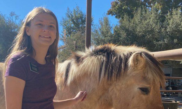 Local girl completes missionary service