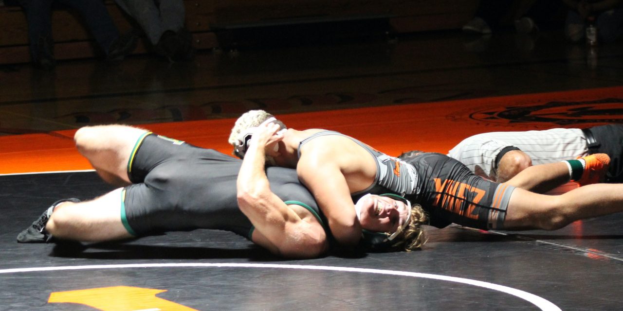 SYHS girls wrestling program growing by the year