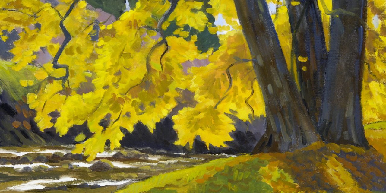 Local artist has grown up with the genre