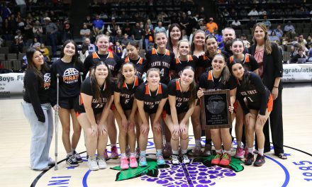 SYHS girls hoops squad loses section final, prepares for state playoffs