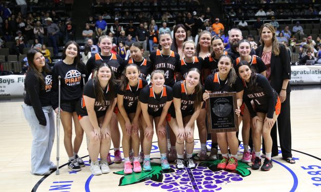 SYHS girls hoops squad loses section final, prepares for state playoffs