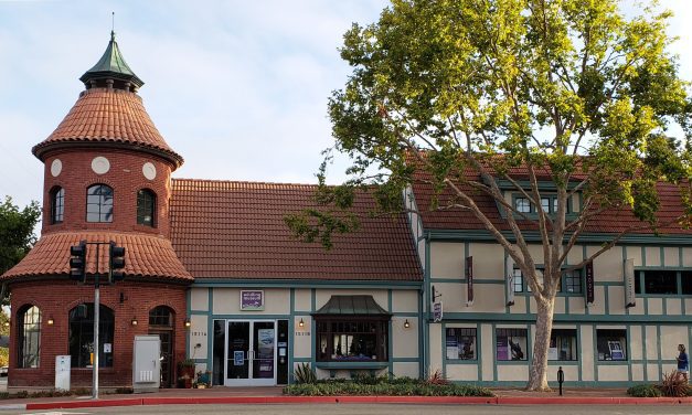 California Nature Art Museum to celebrate 25th anniversary with event at Vincent Vineyards
