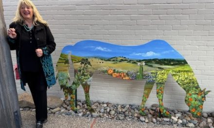 Town horse finds safe home at Santa Ynez Valley Historical Society