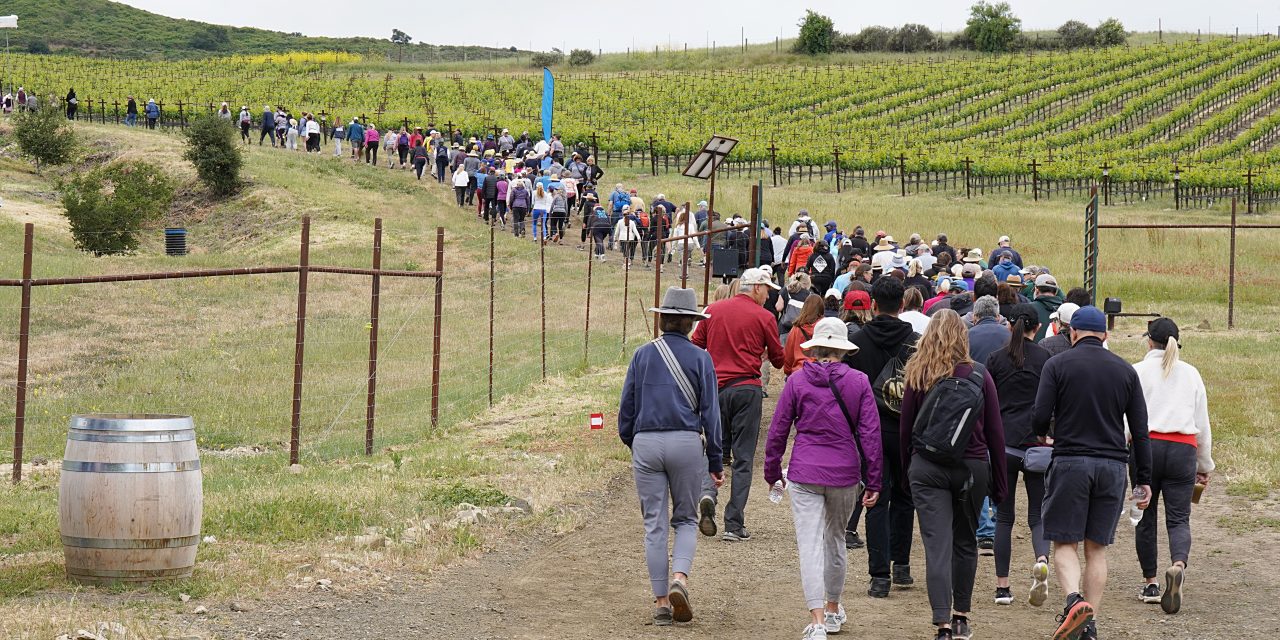 Alma Rosa Winery’s sixth annual Peace of Mind walk raises $256K