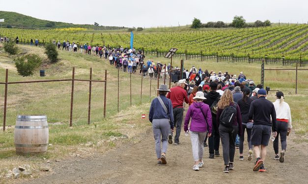 Alma Rosa Winery’s sixth annual Peace of Mind walk raises $256K